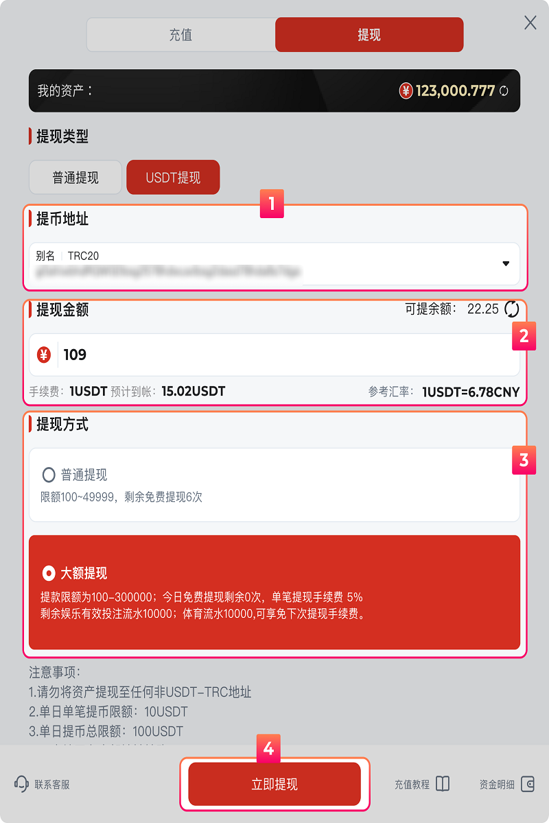 澳门金沙提款教程 3 USDT提款页面
